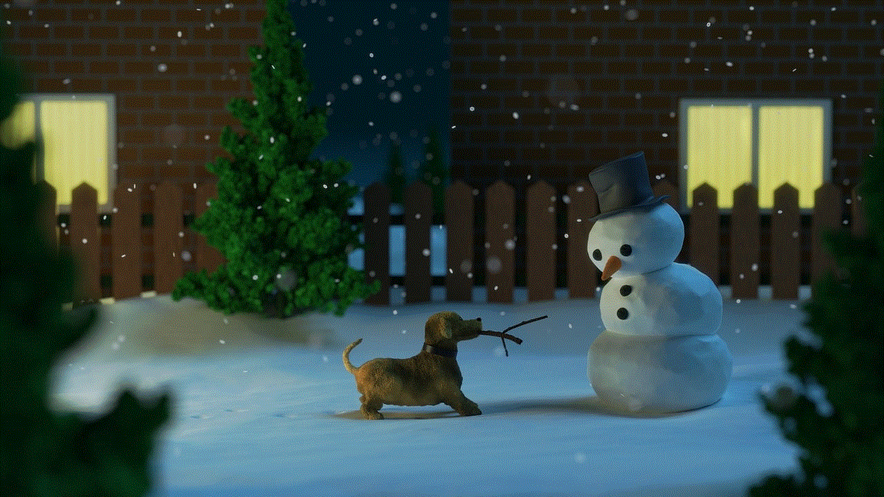 Snowman Dog