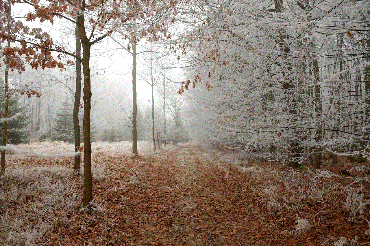 Forest Path