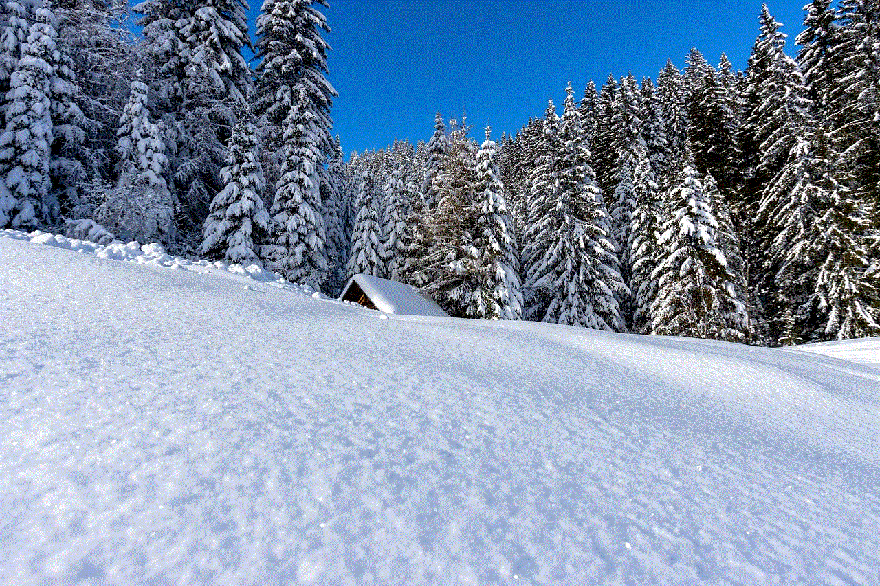 Mountains Trees