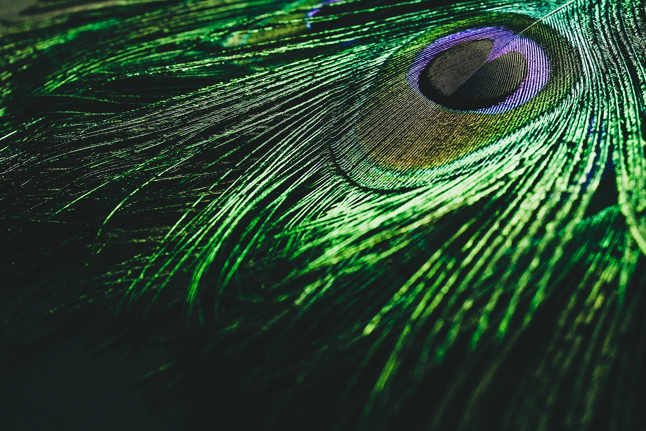 Peacock Feather Peacock