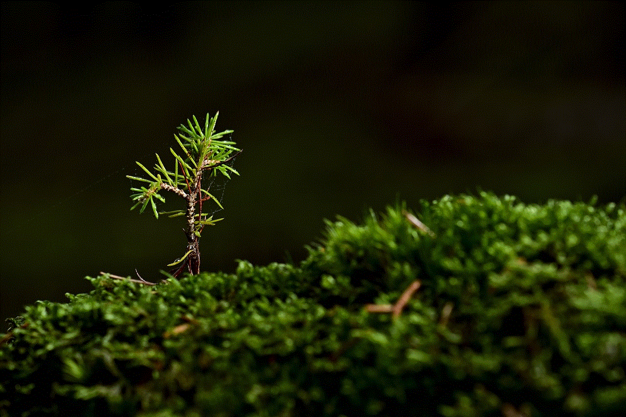 Tree Moss