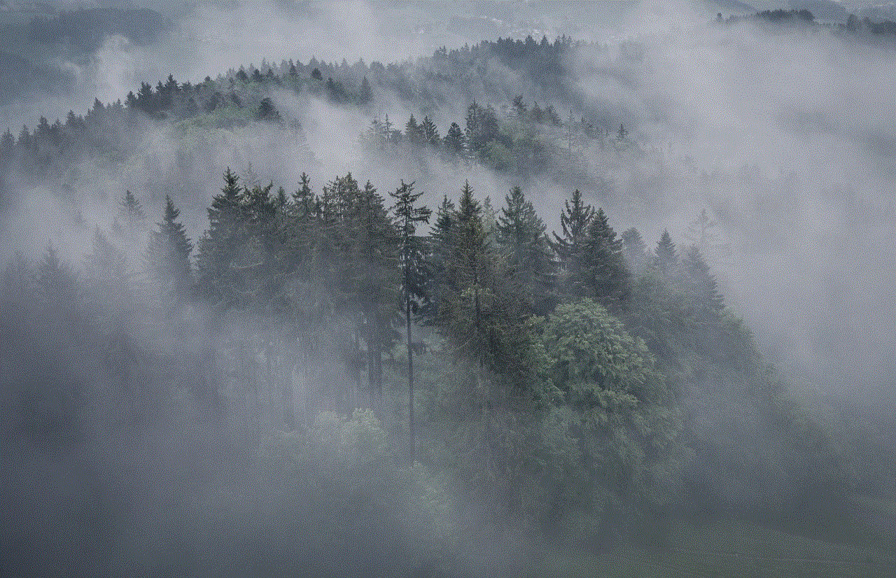 Fog Trees