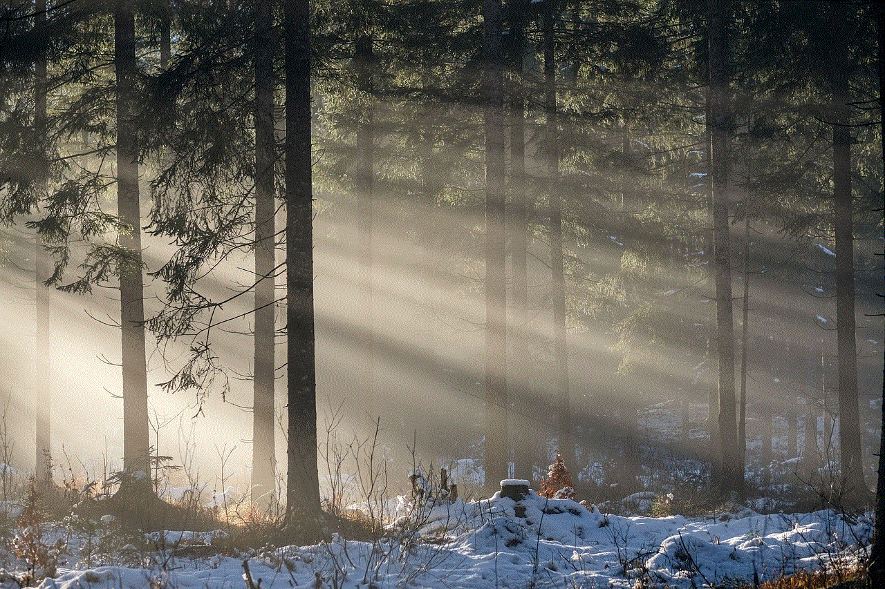 Forest Trees Forest Trees