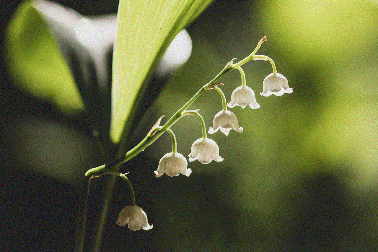 Lily Of The Valley White Flowers