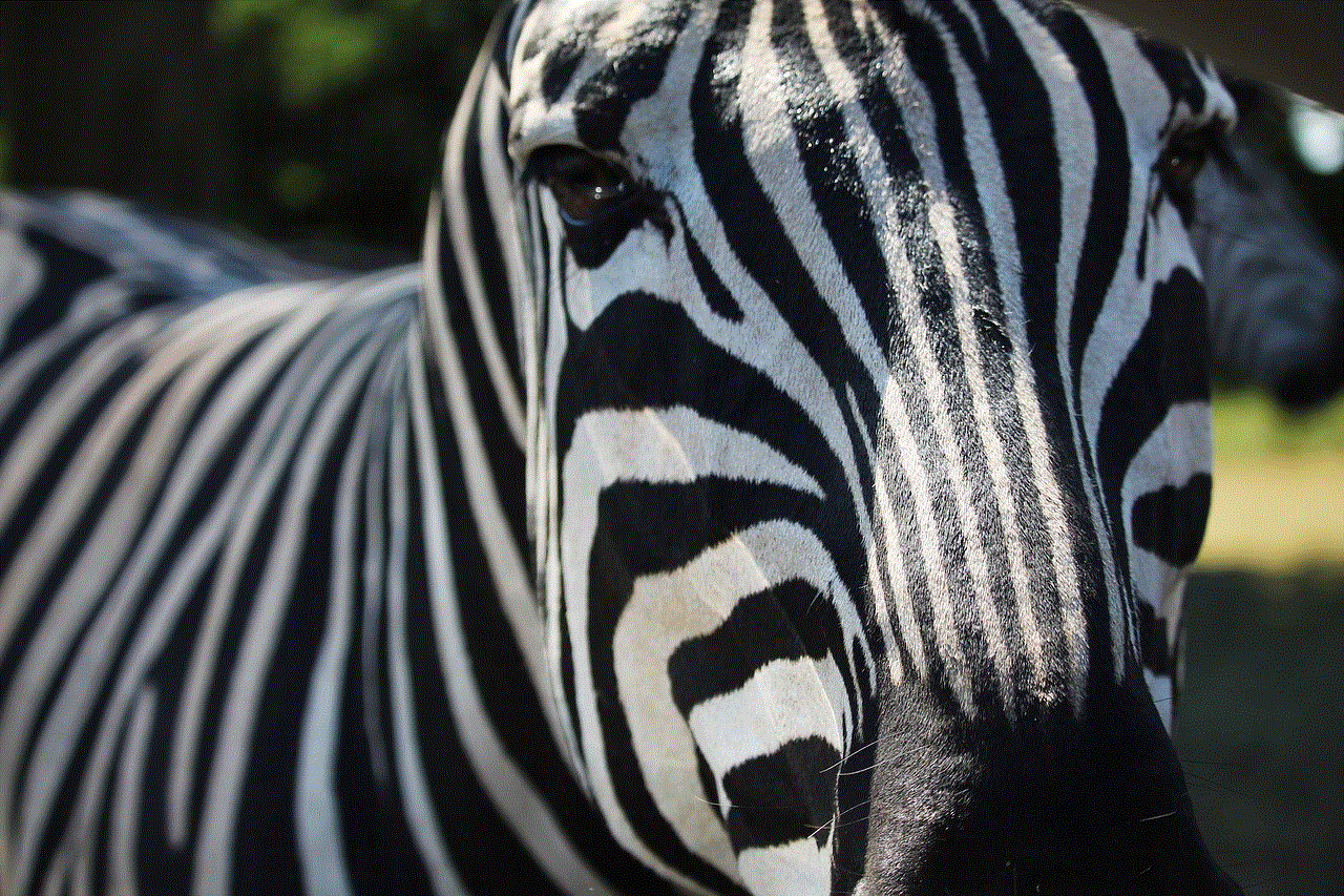 Zebra Head