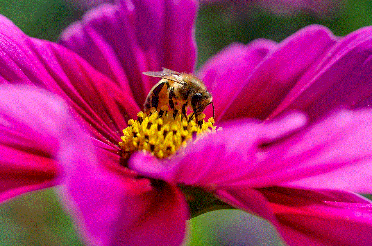 Kosmeen Bee