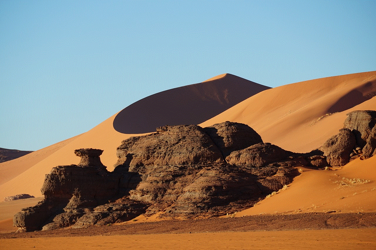 Dunes Desert