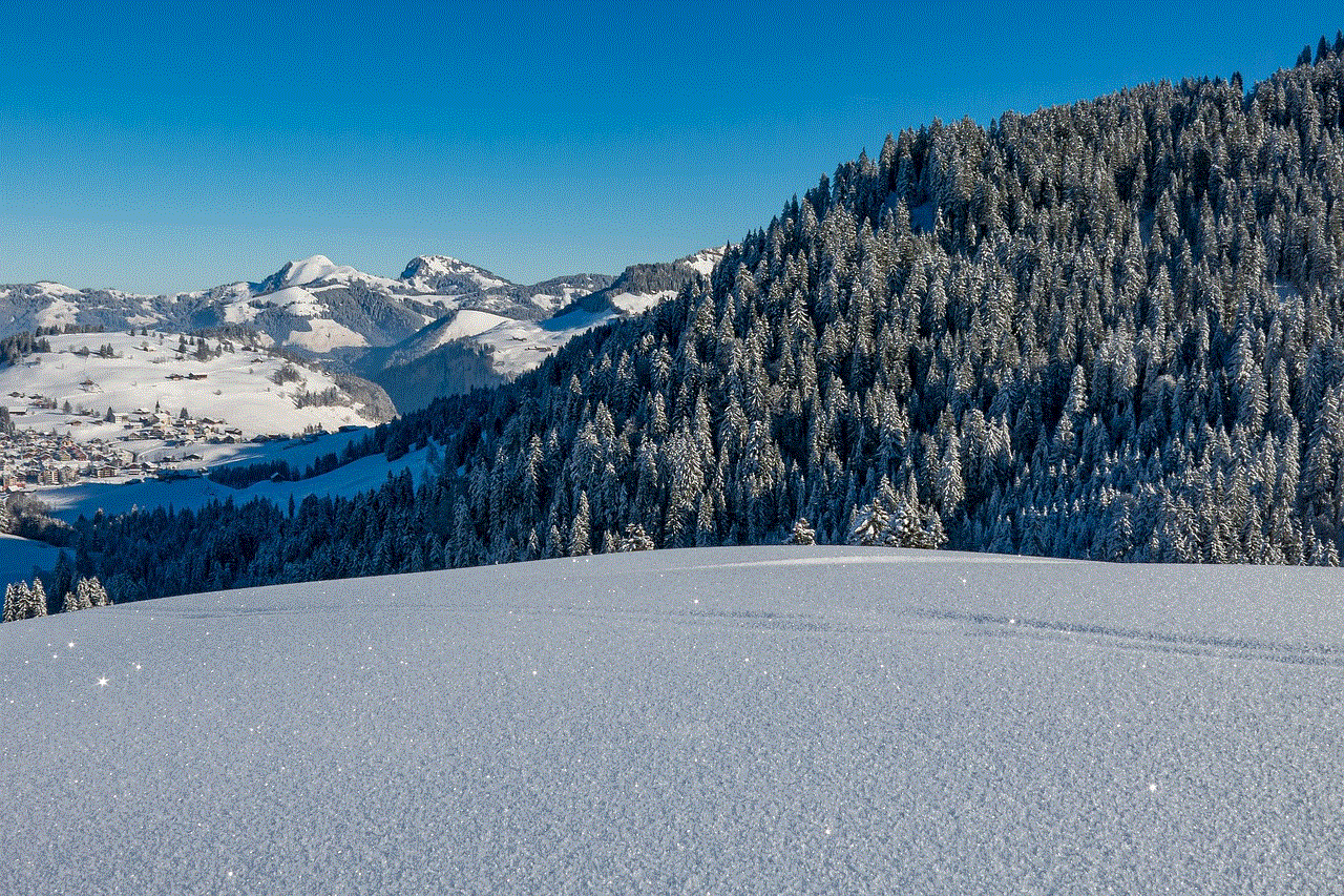 Mountains Field