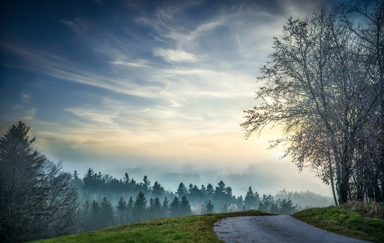 Road Pathway Road Pathway