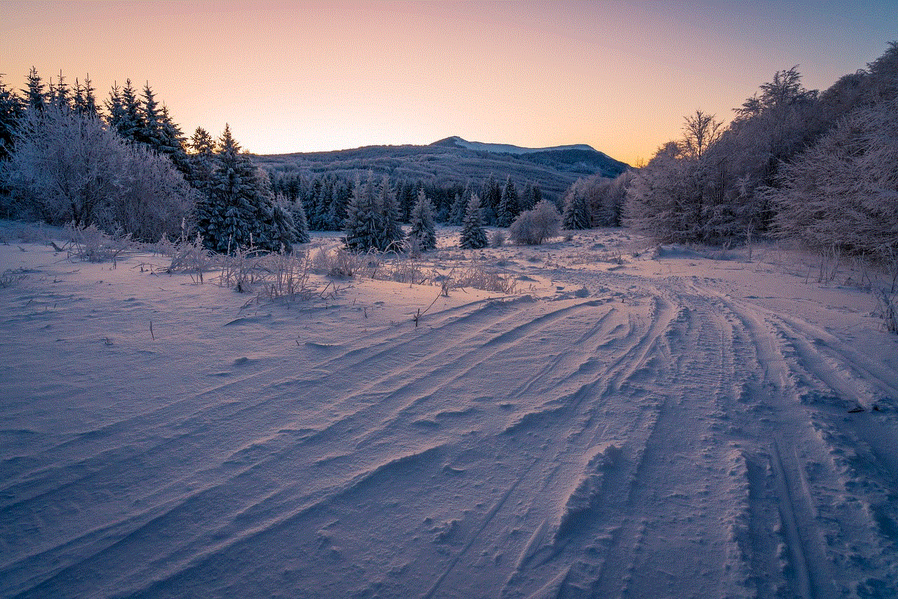 Snow Fields