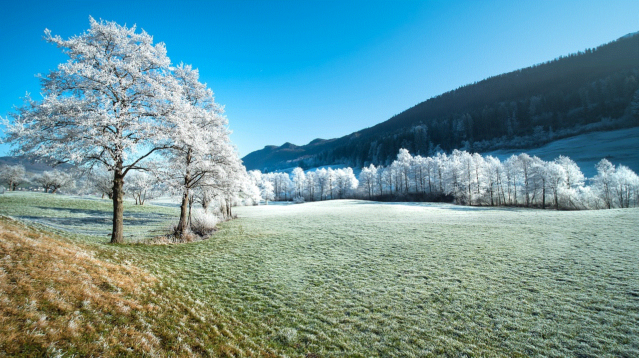 Field Trees