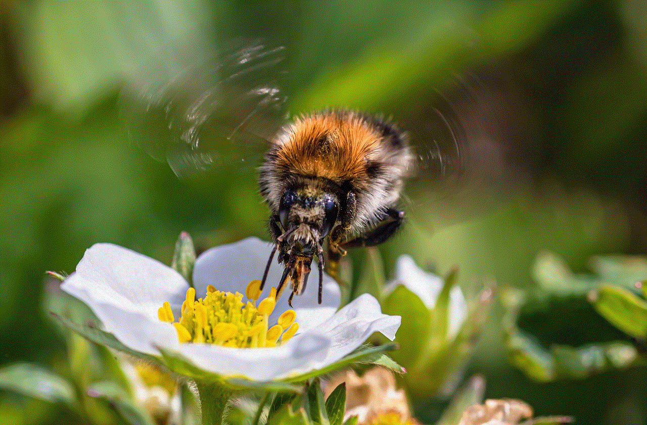 Strawberry Flower Bee