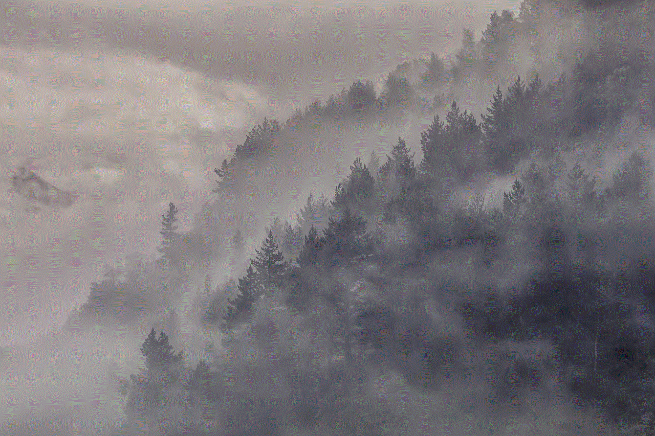 Fog Forest