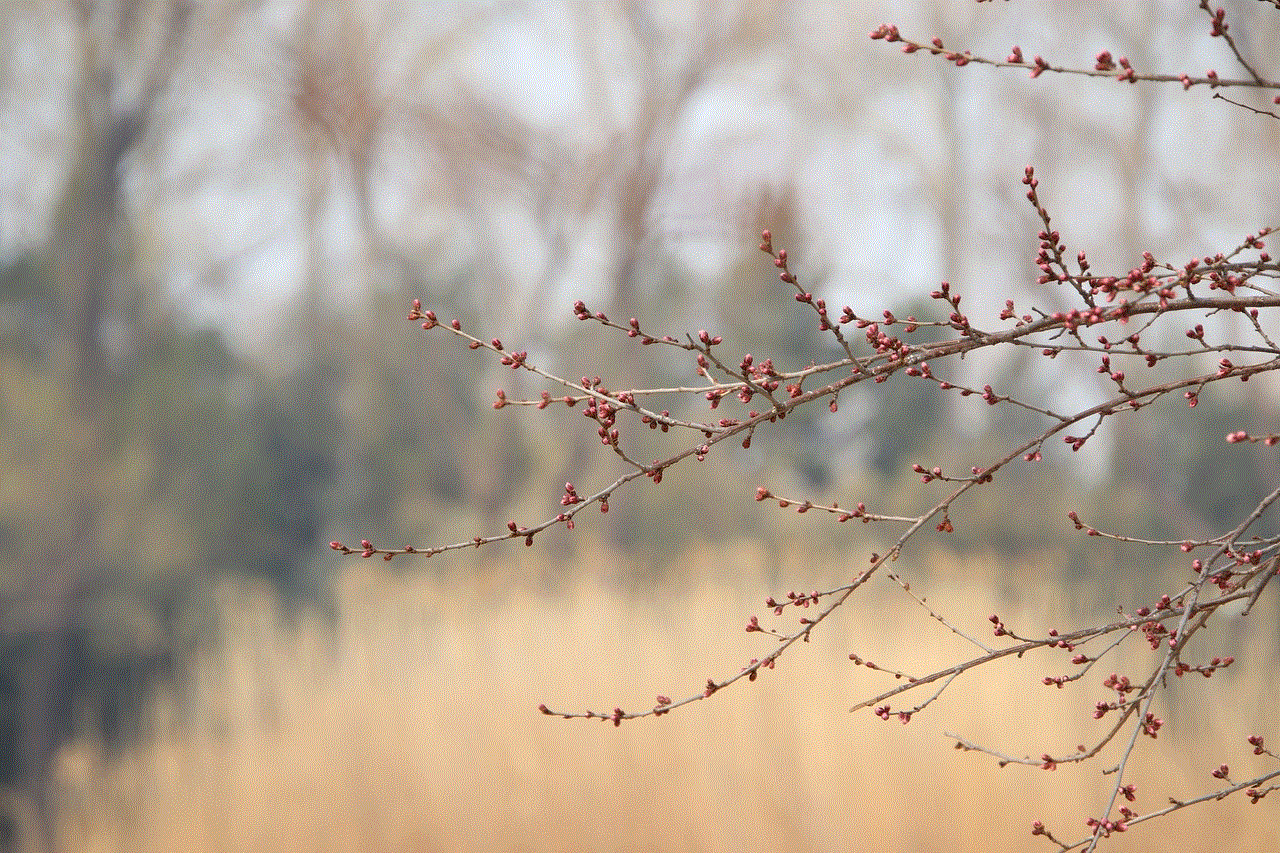 Peach Flower Buds