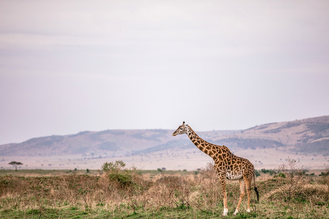 Giraffe Long-Necked