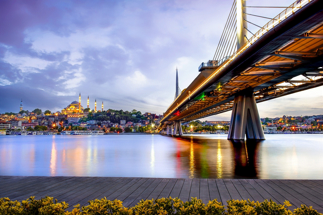 Istanbul Bridge