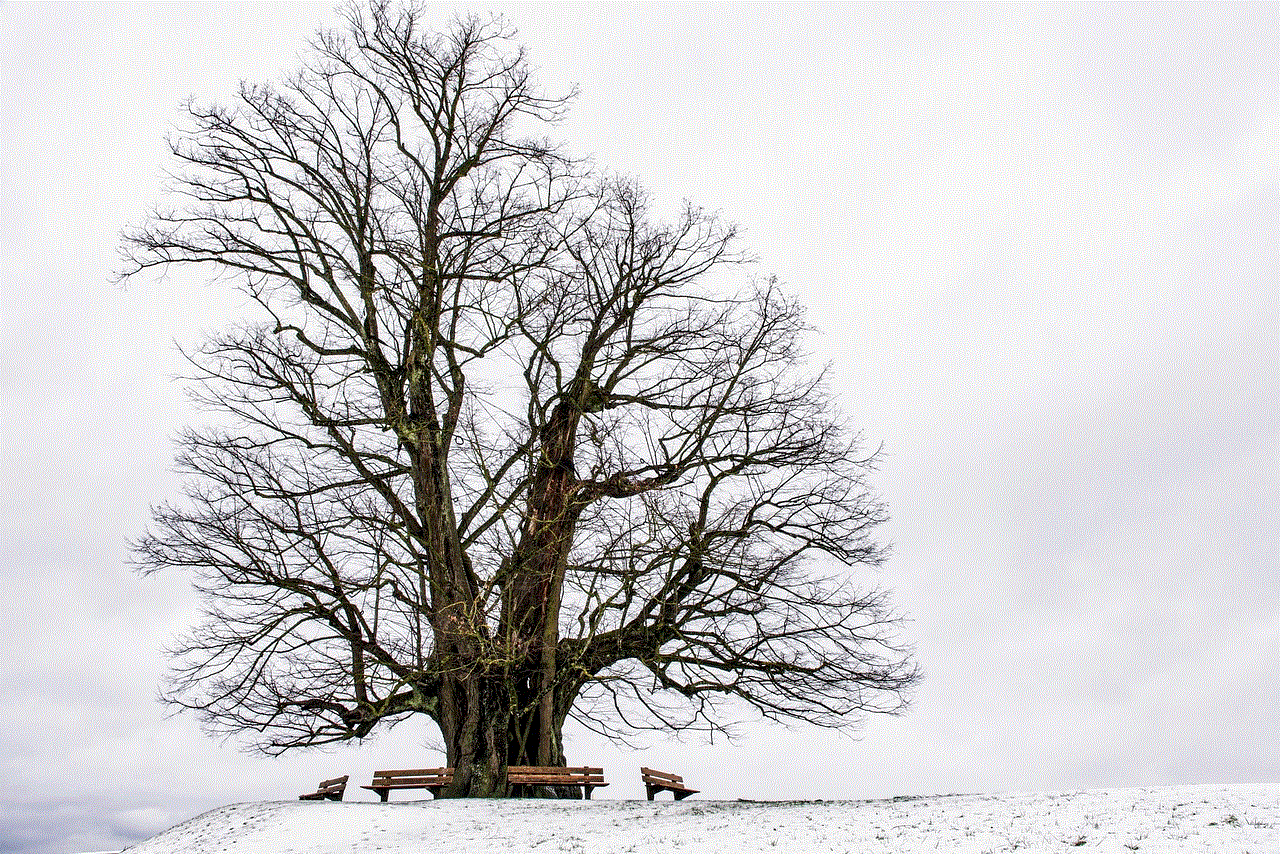 Winter Tree