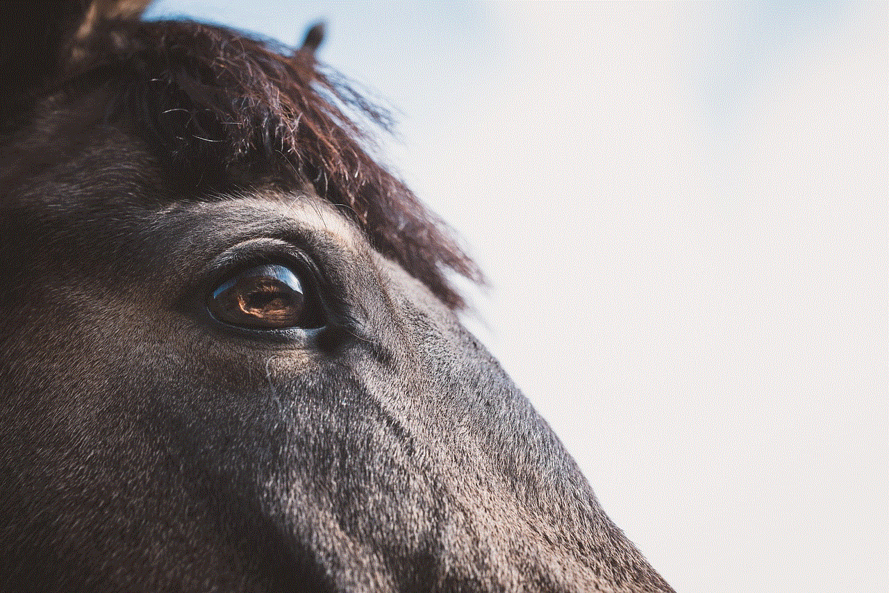 Horse Eye