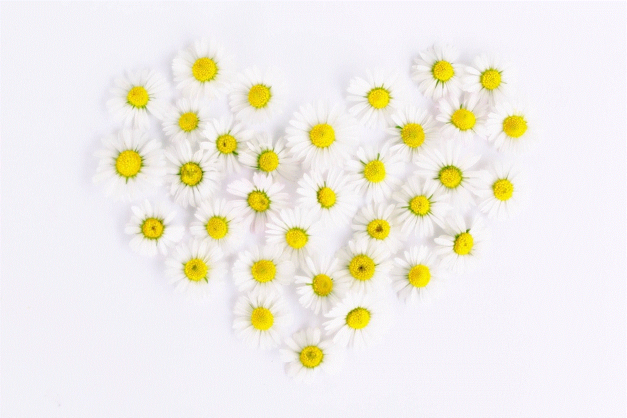 Daisies Heart