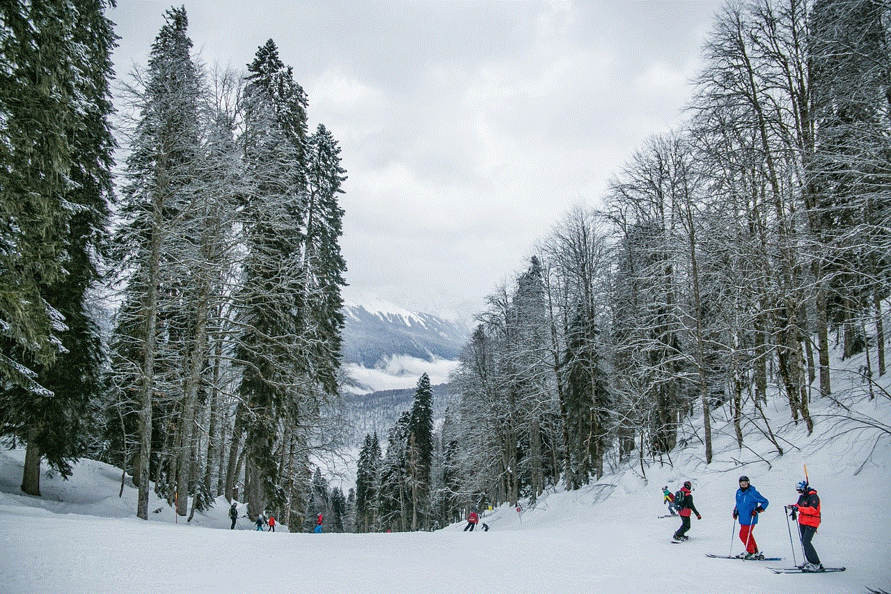 Snow Skiing