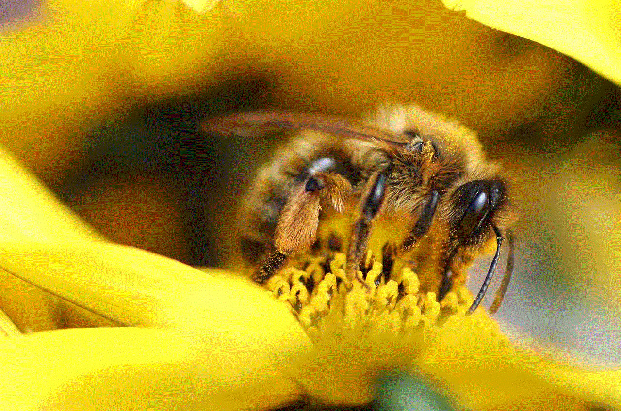 Bee Pollen