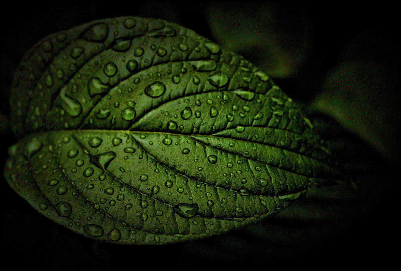 Leaf Rain