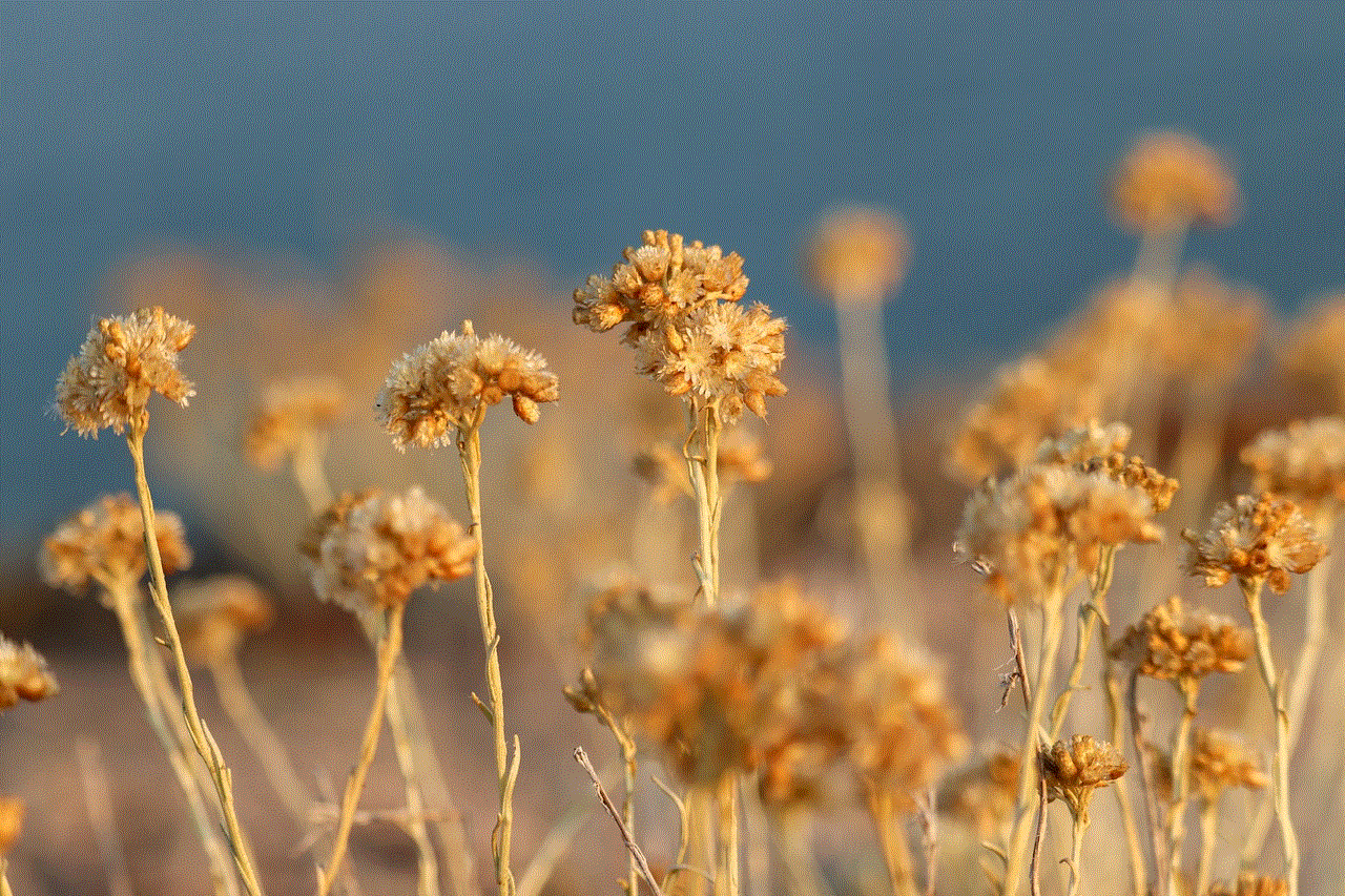 Flowers Plants