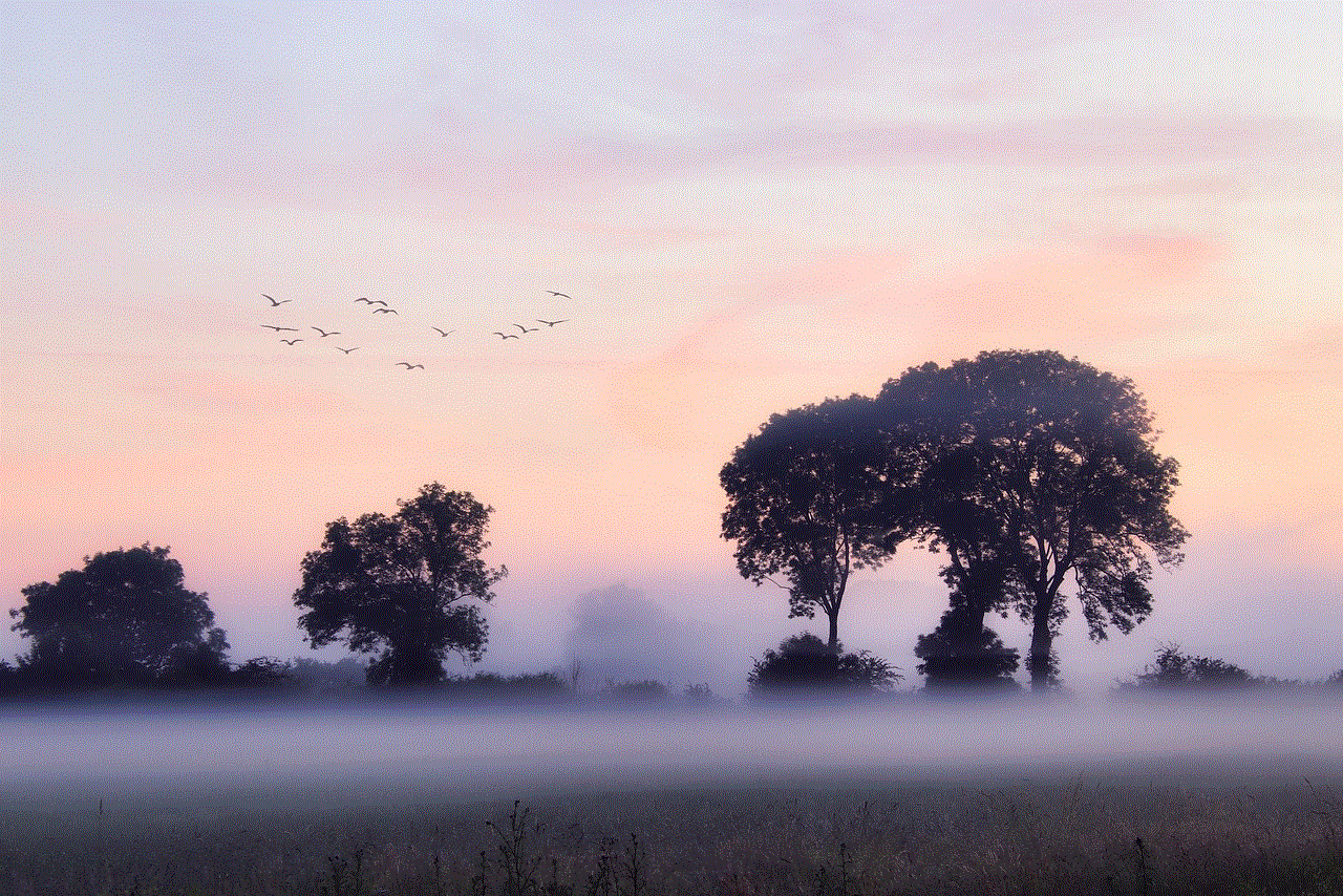Fog Trees