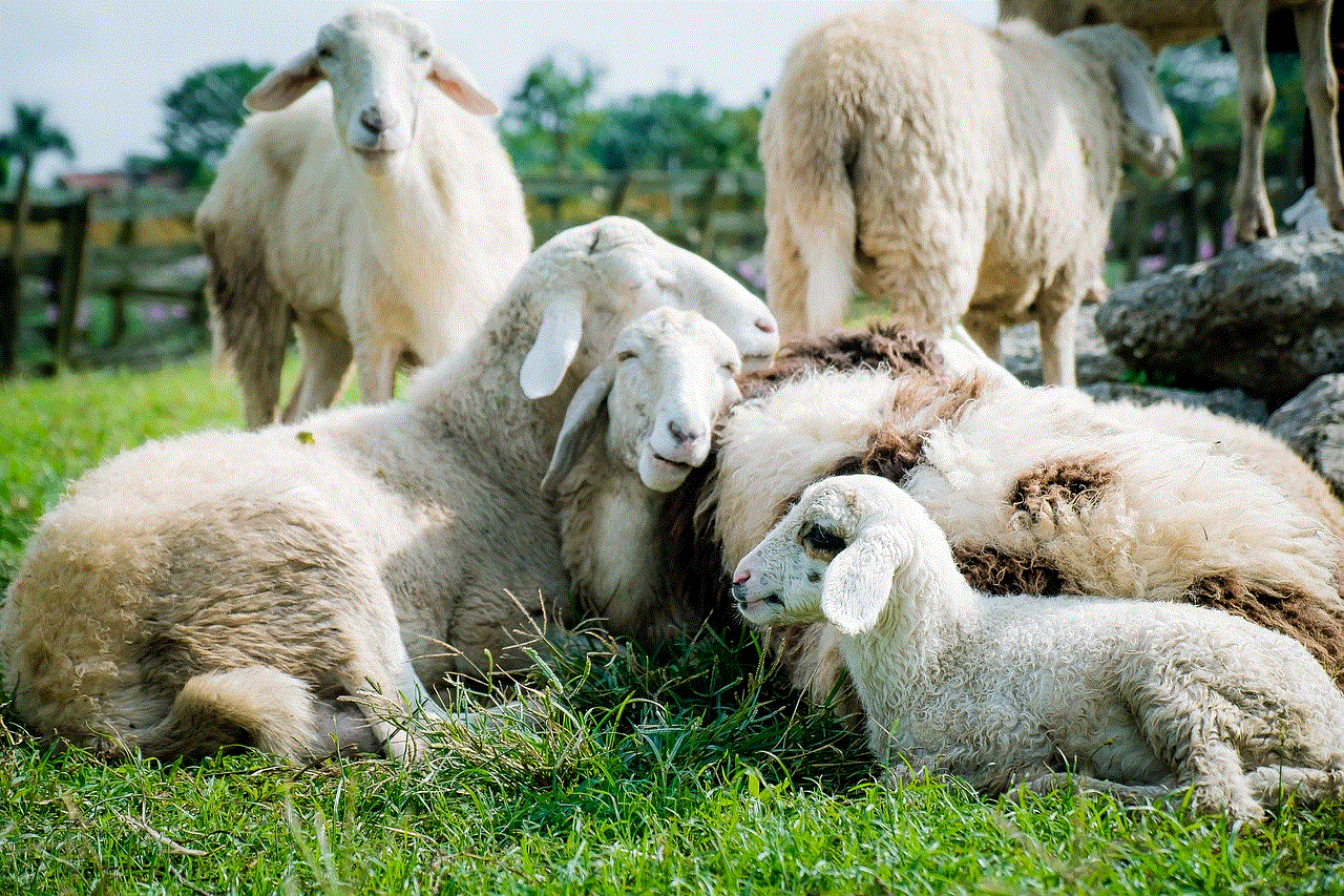 Sheep Meadow