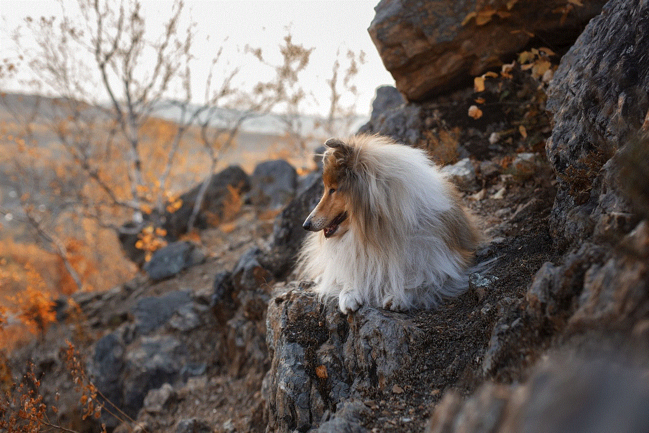 Mountainside Dog