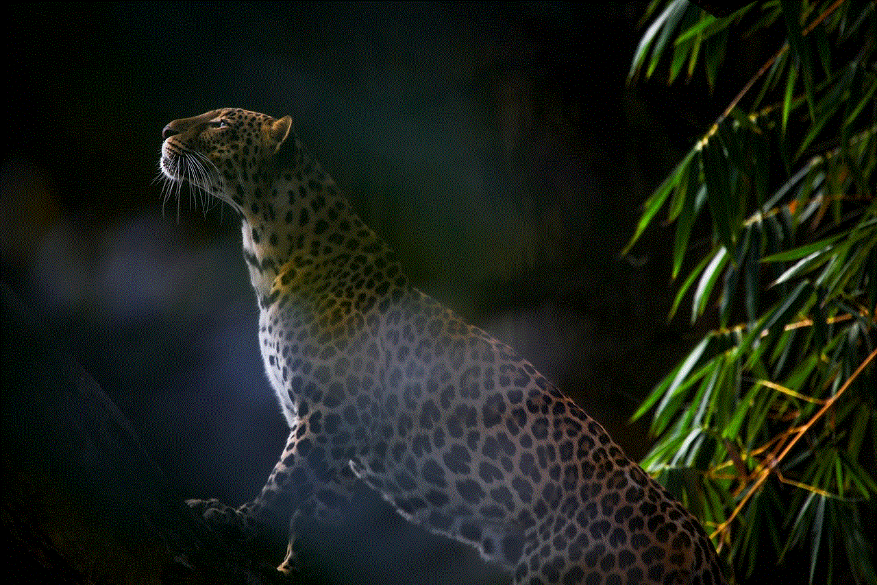 Leopard Pet