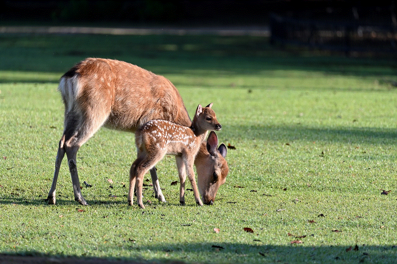 Deer Parent Child