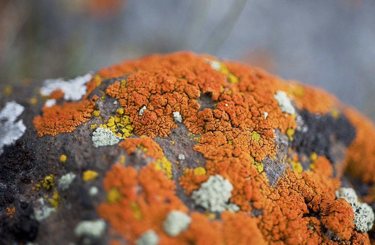 Lichen Orange