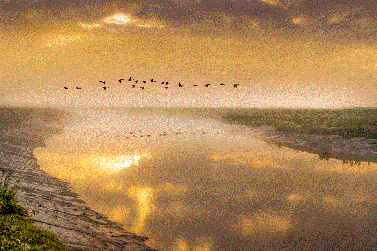 Birds In Flight Geese