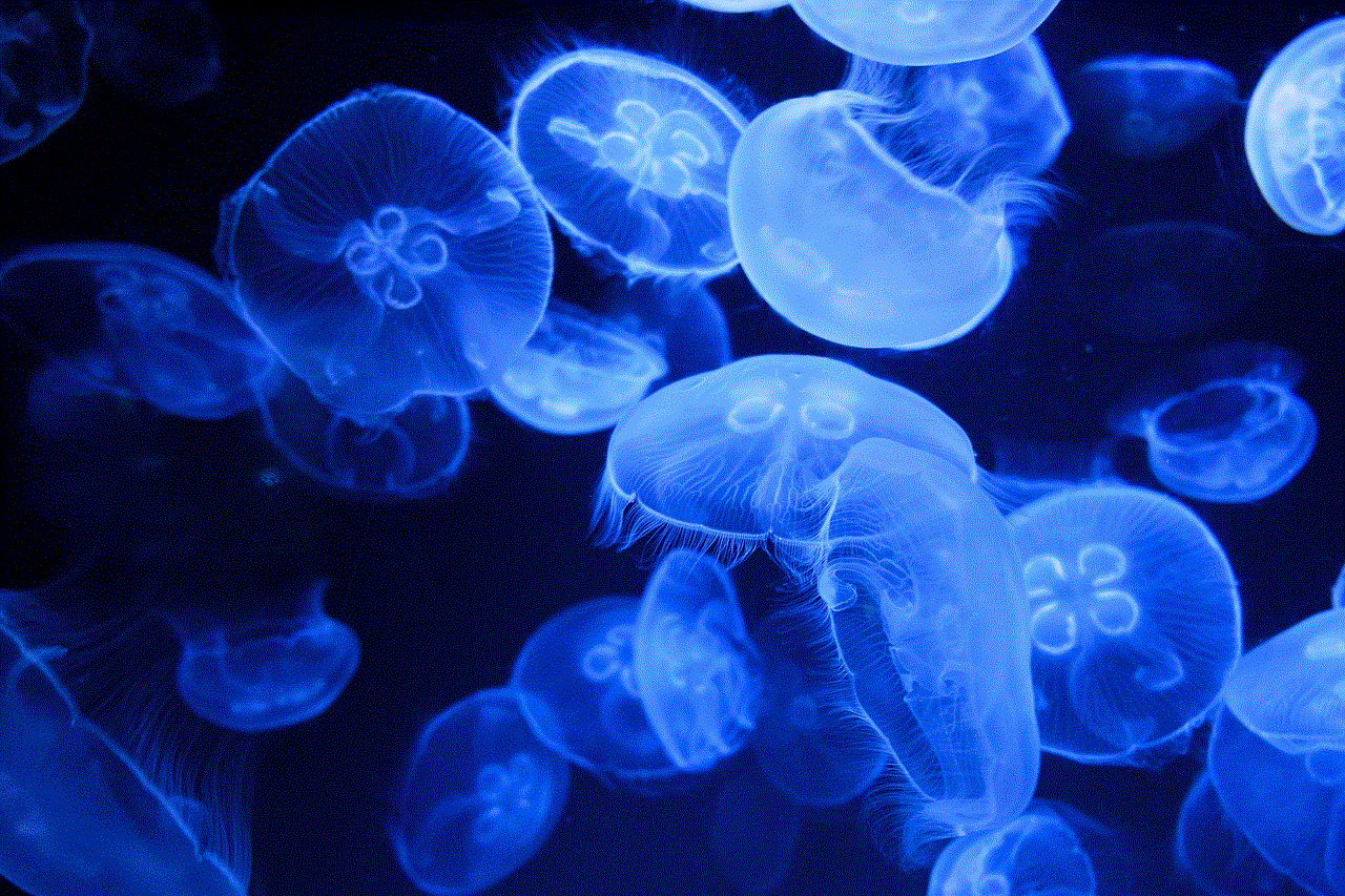 Jellyfishes Sea Jellies