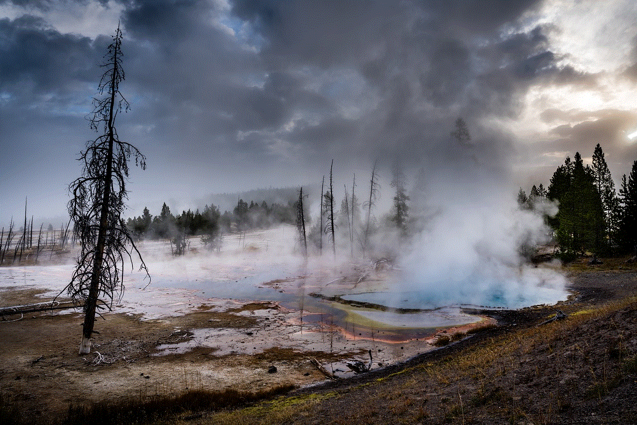 Geyser Yellowstone
