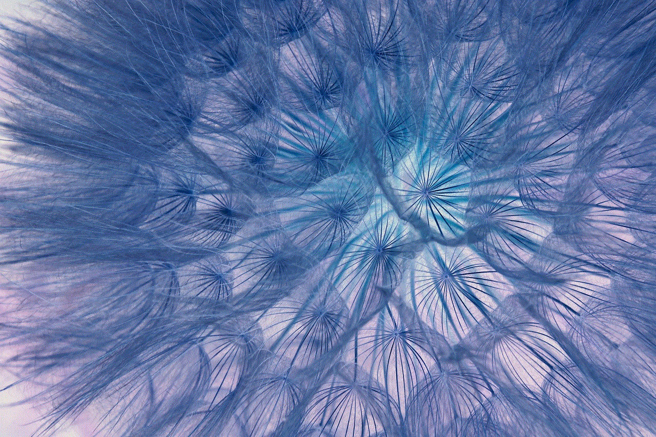 Dandelion Seeds