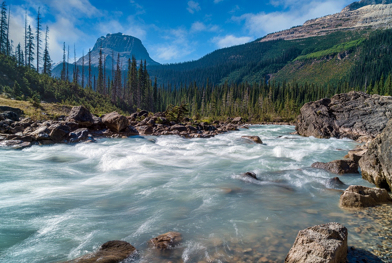 River Trees