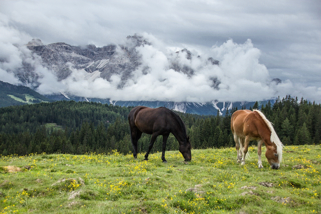 Mountain Horses