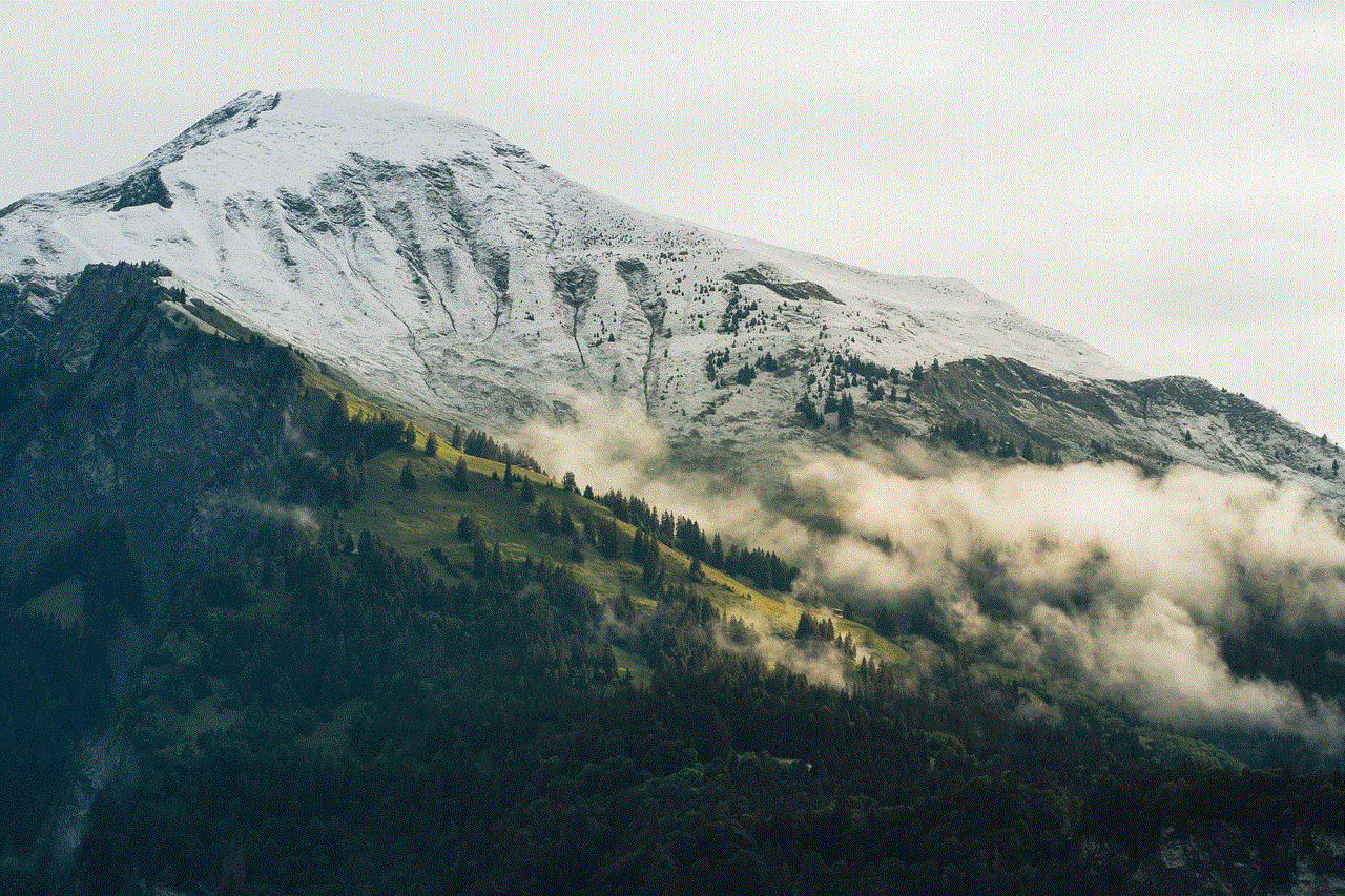 Mountains Trees