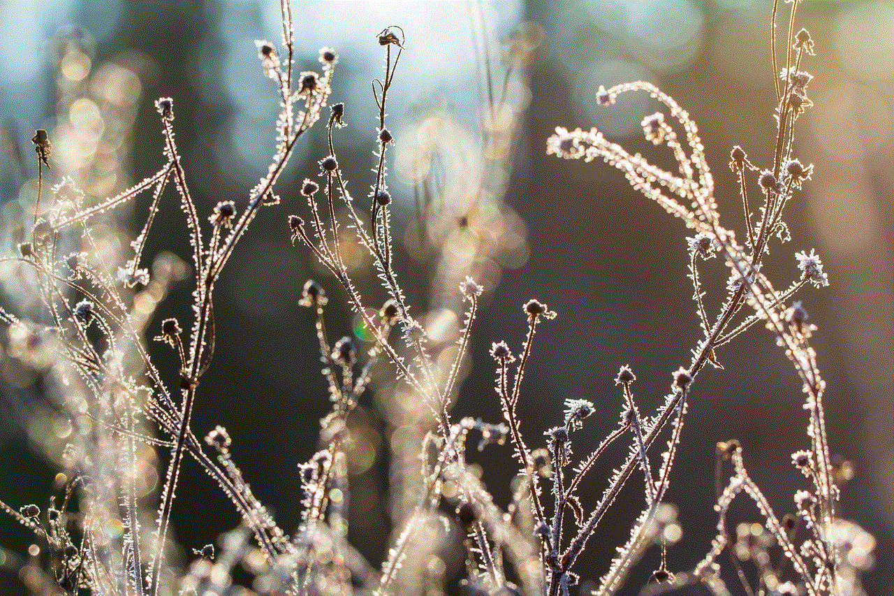 Winter Grass