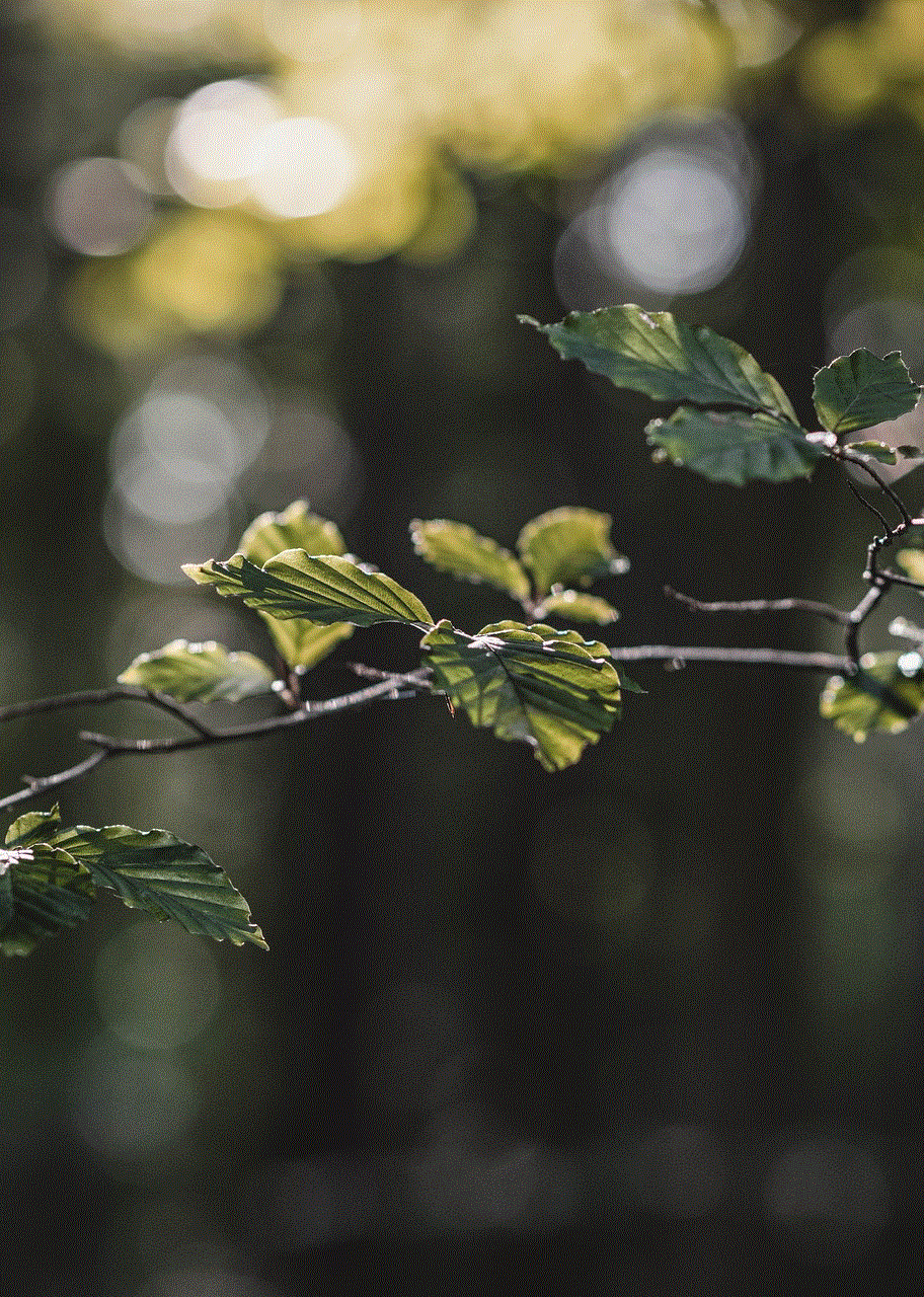 Leaves Branches