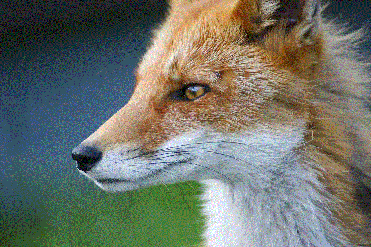 Fox Nature