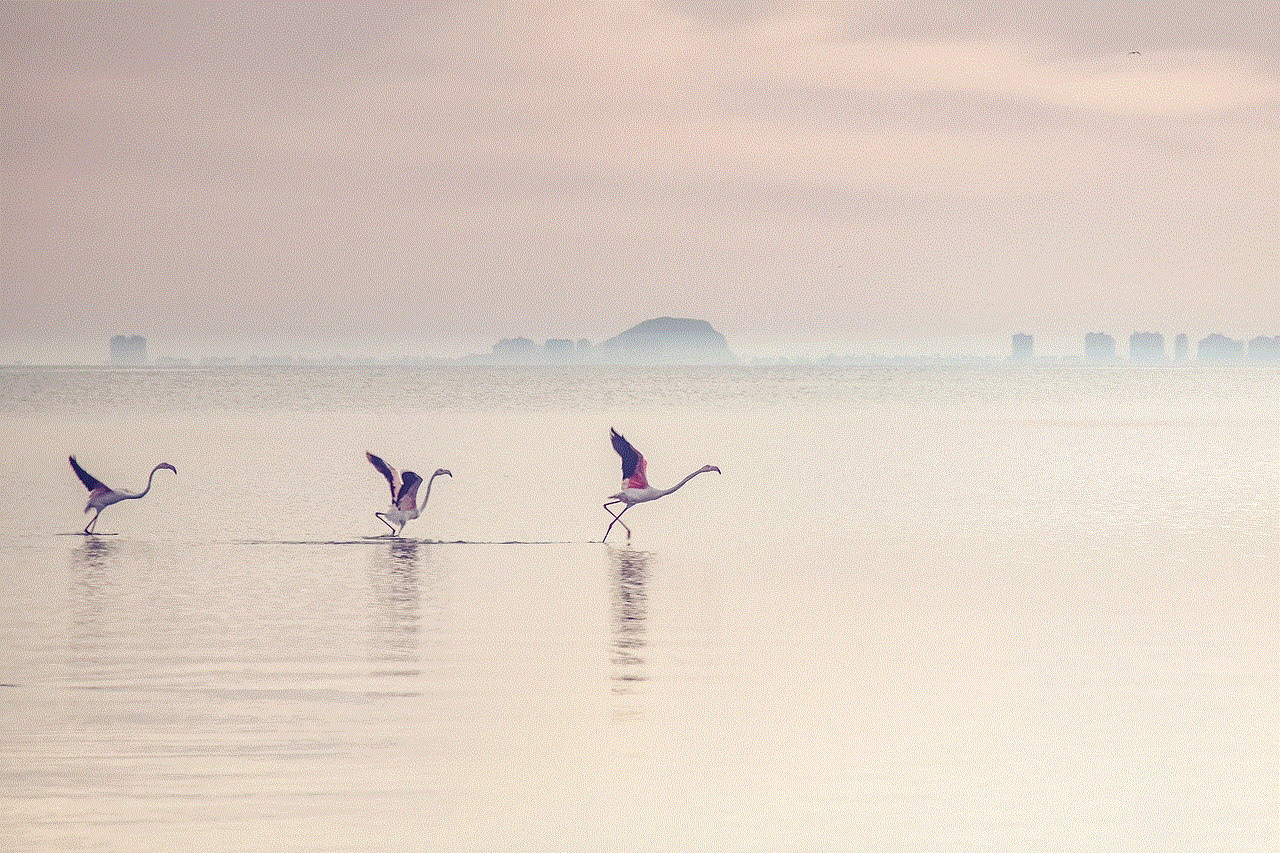 Waterscape Flamingos