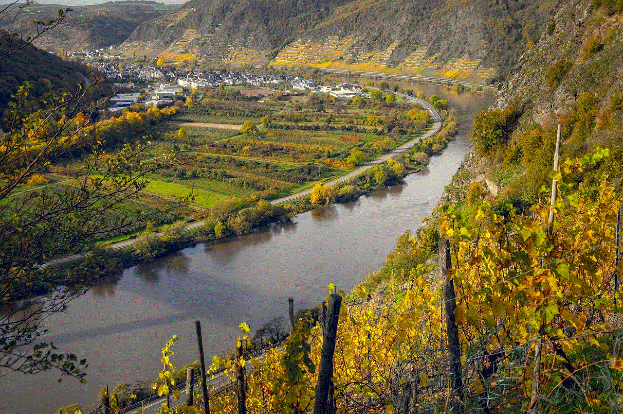 Vineyards Moselle
