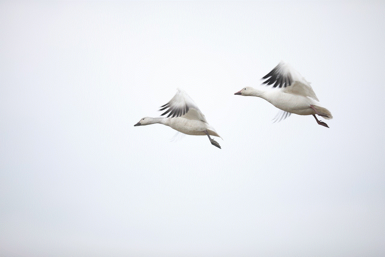 Fly Canada Goose