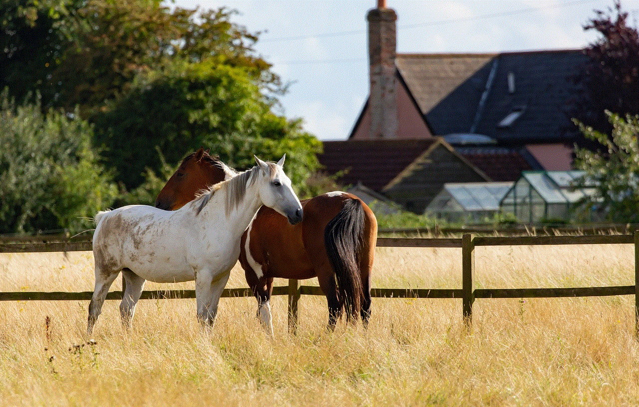 Horses Nature