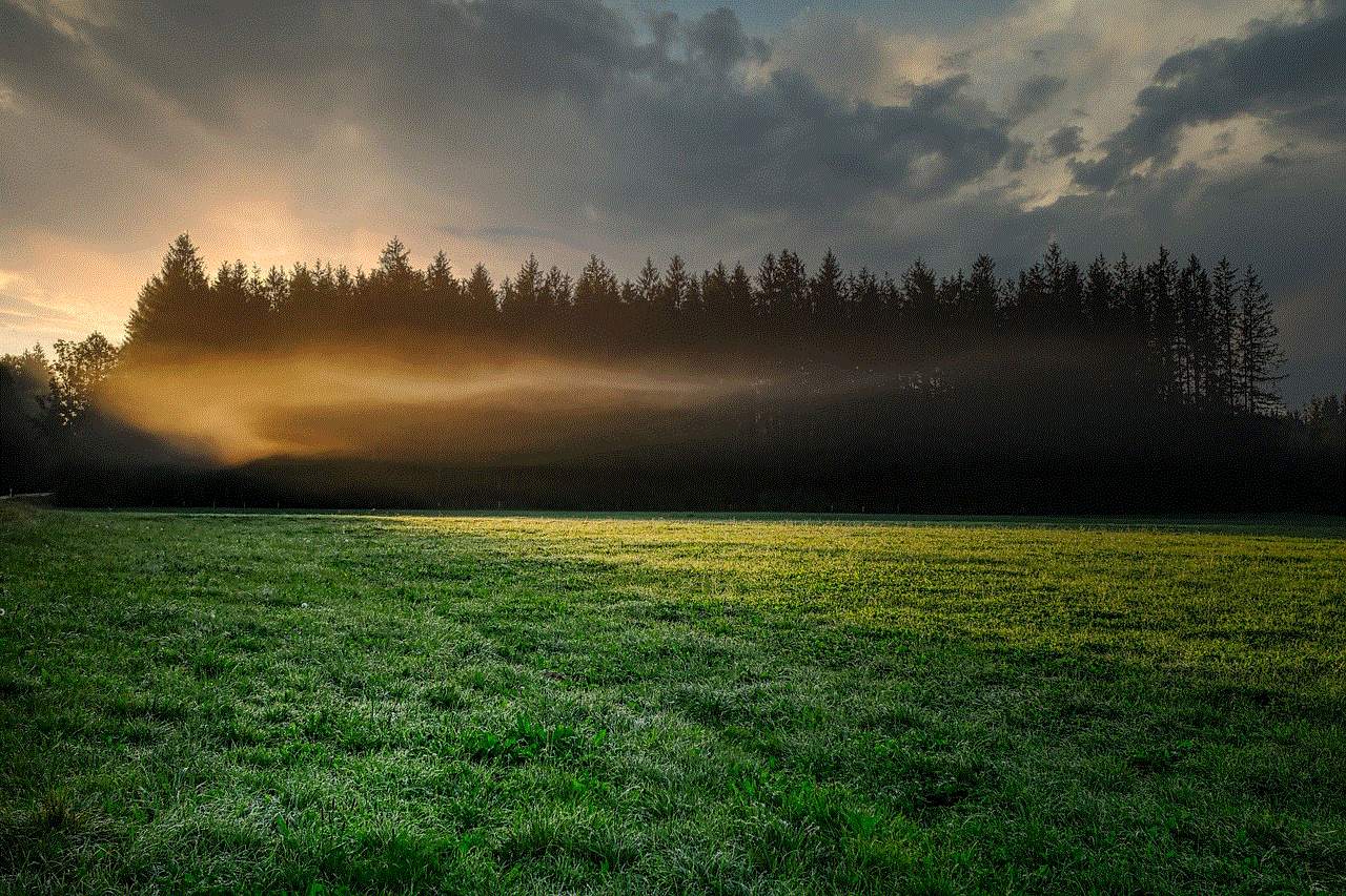 Fog Grass