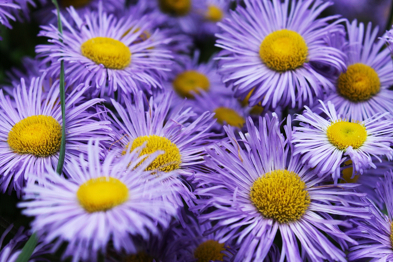 Blue Flower Flowers