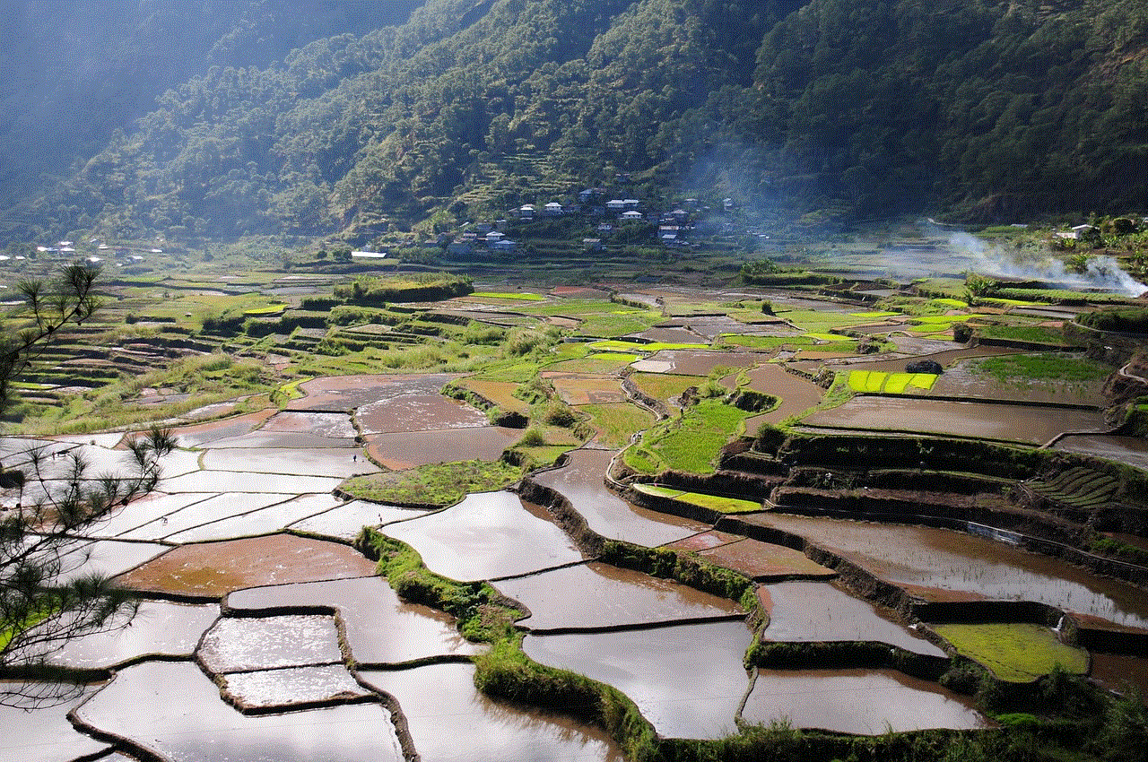 Rice Field Rice Terraces Rice Field Rice Terraces